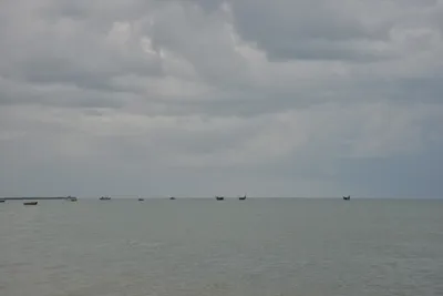 DSC_5443 (Large).JPG